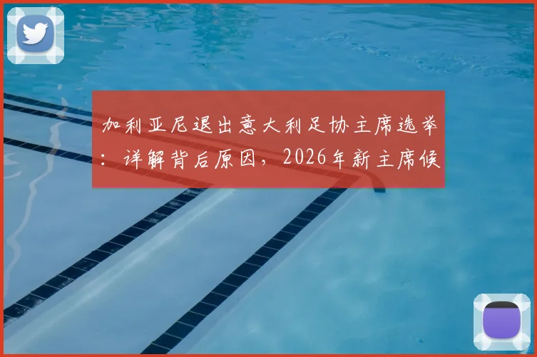 加利亚尼退出意大利足协主席选举:详解背后原因,2026年新主席候选人名单前瞻与影响分析