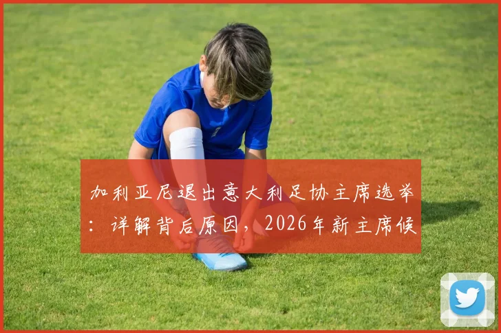 加利亚尼退出意大利足协主席选举：详解背后原因，2026年新主席候选人名单前瞻与影响分析